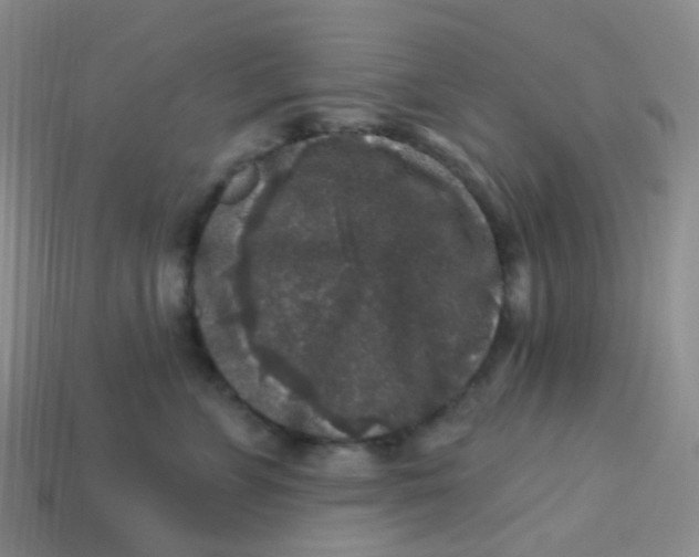 X0000113270715200910081400