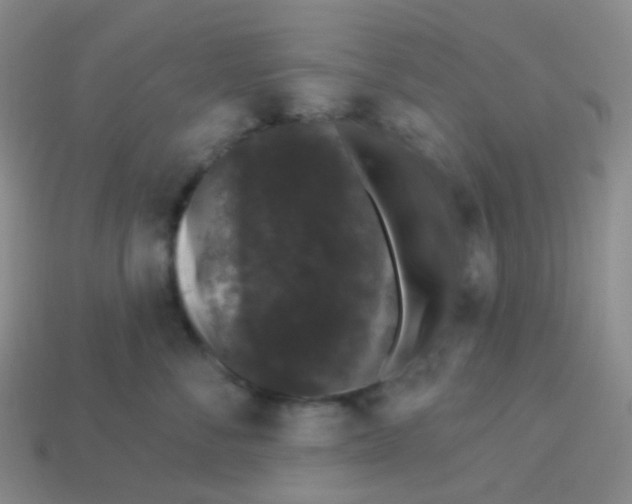 X0000113270716200910081400