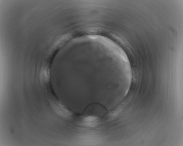 X0000113270718200910081400