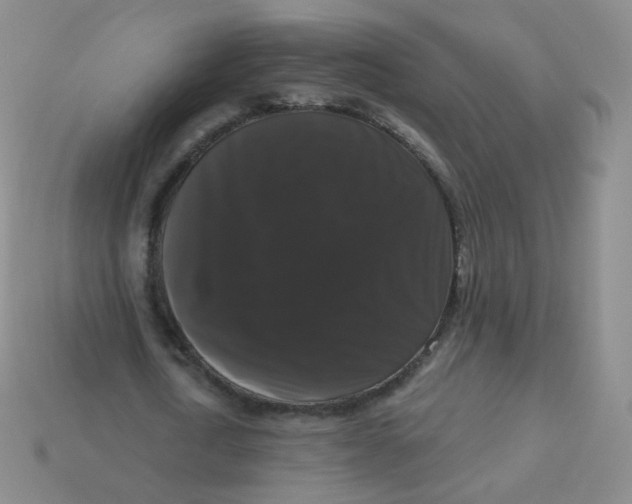 X0000113270722200910081400