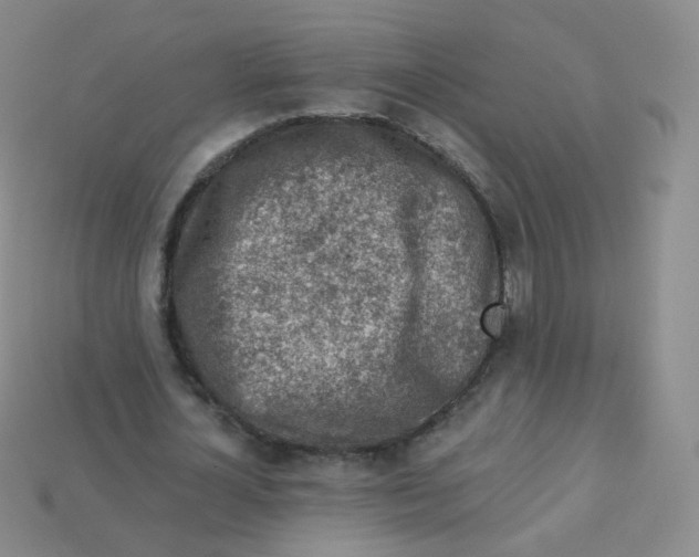 X0000113270724200910081400