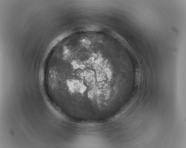 X0000113270726200910081400