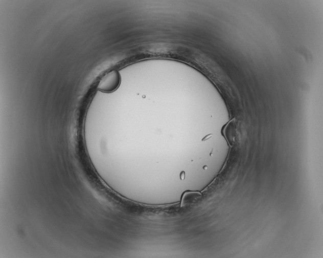 X0000113270728200910081400