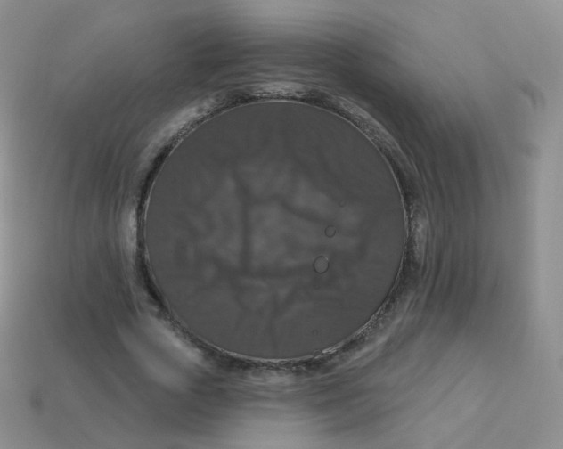 X0000113270729200910081400