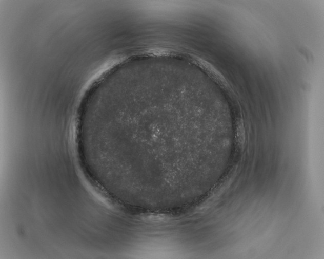 X0000113270730200910081400