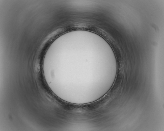 X0000113270731200910081400