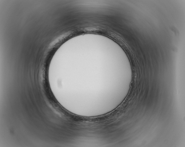 X0000113270732200910081400