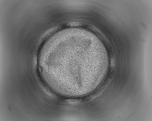 X0000113270733200910081400