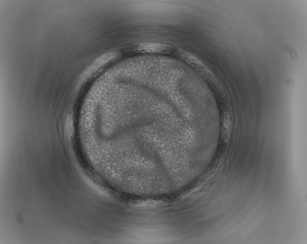 X0000113270734200910081400