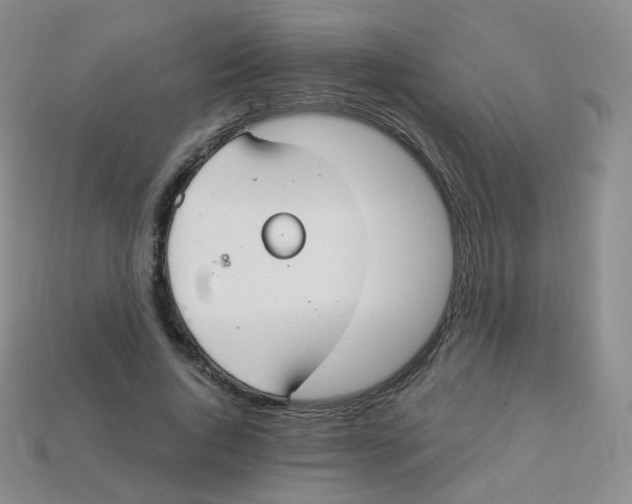 X0000113270736200910081400