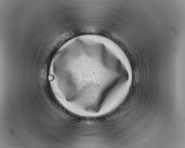 X0000113270739200910081400