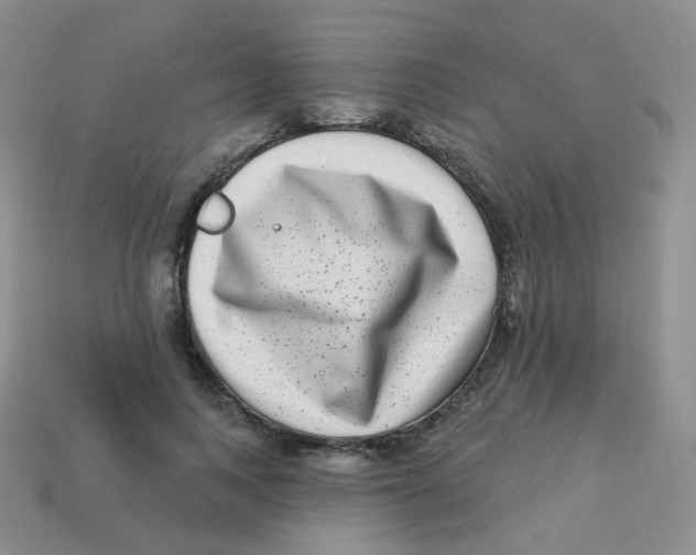 X0000113270743200910081400