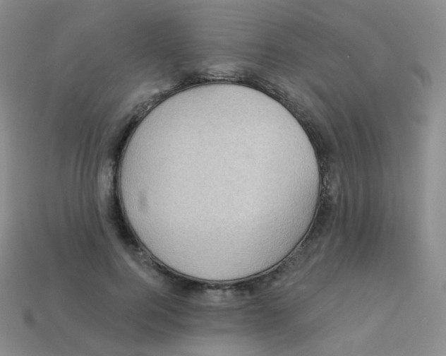 X0000113270744200910081400