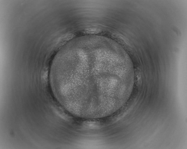 X0000113270745200910081400