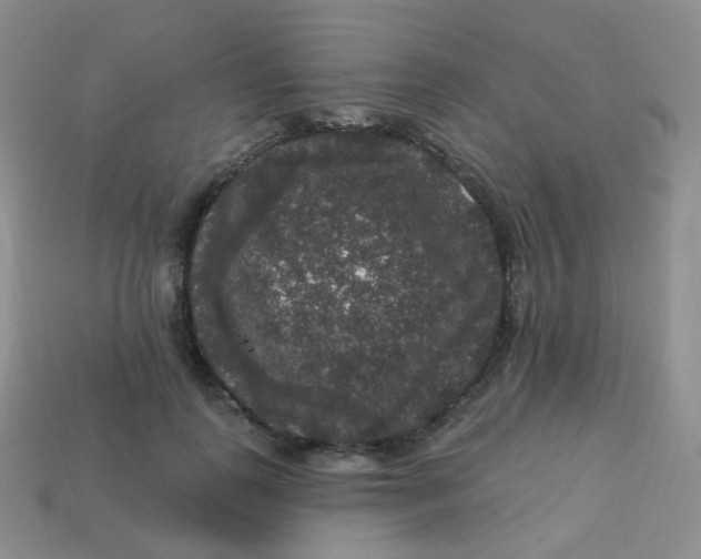 X0000113270747200910081400