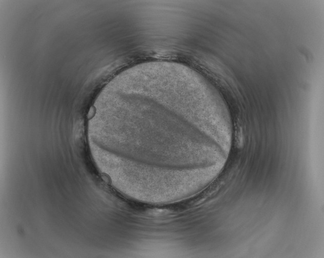 X0000113270748200910081400