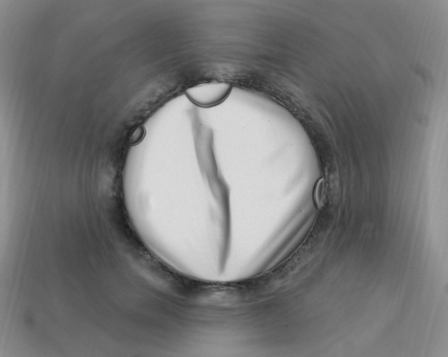 X0000113270750200910081400