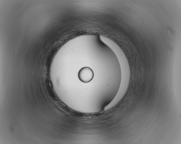 X0000113270752200910081400