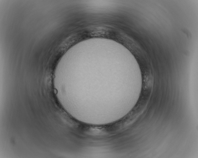 X0000113270753200910081400