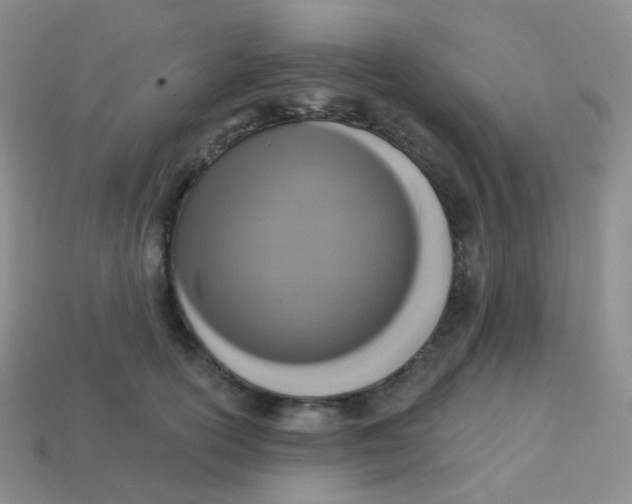 X0000113270754200910081400