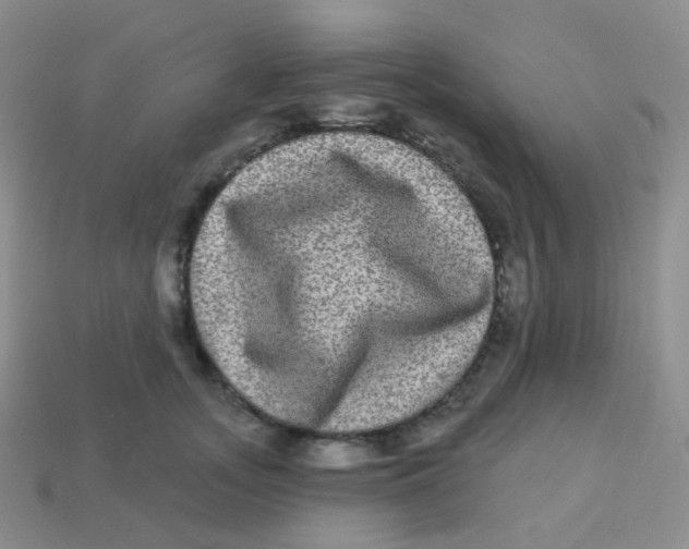 X0000113270755200910081400