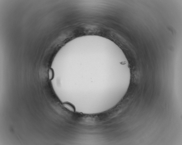 X0000113270756200910081400