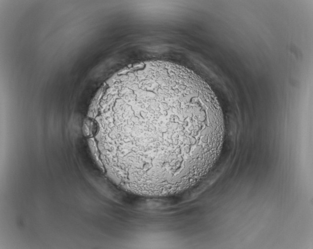 X0000113270758200910081400