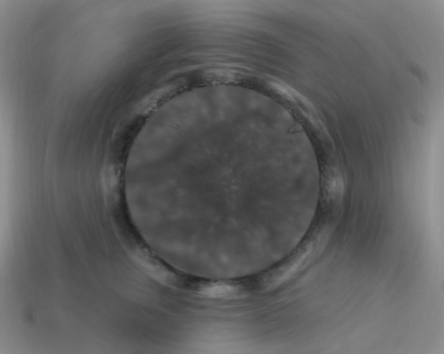 X0000113270759200910081400