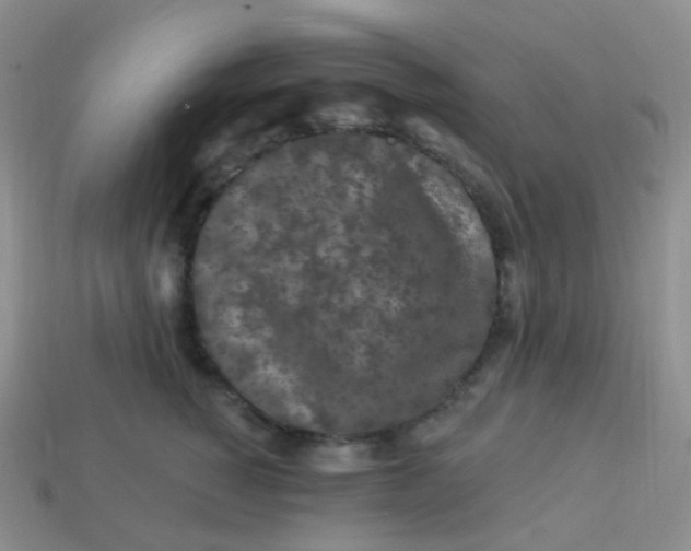 X0000113270760200910081400