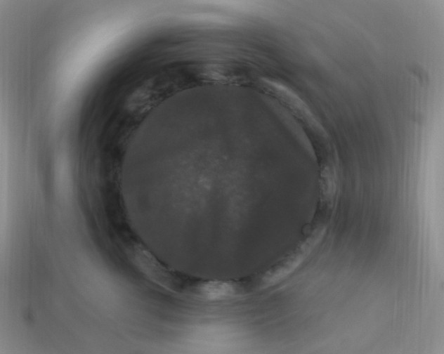 X0000113270762200910081400