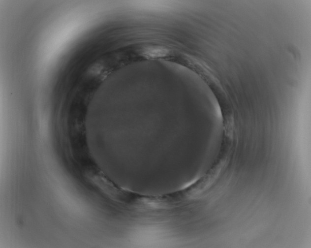 X0000113270763200910081400