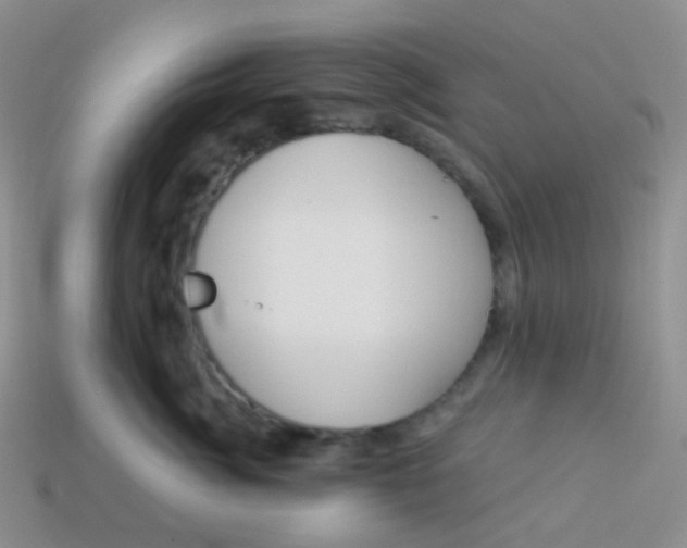 X0000113270764200910081400