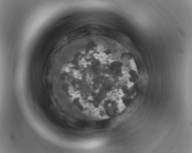 X0000113270765200910081400