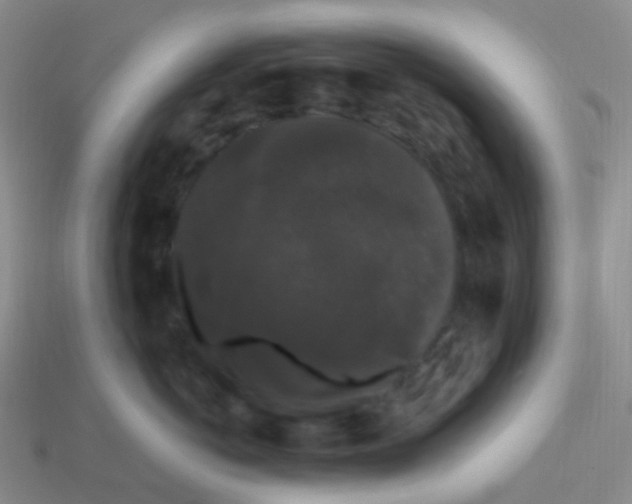 X0000113270766200910081400