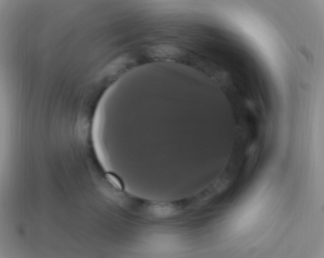 X0000113270767200910081400