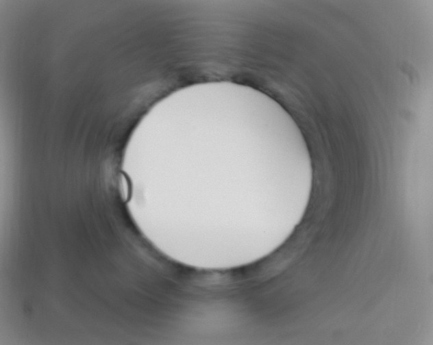 X0000113270768200910081400