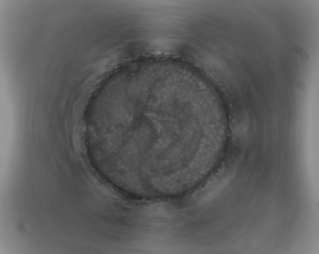 X0000113270769200910081400