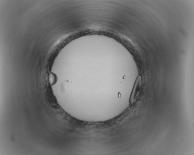 X0000113270776200910081359