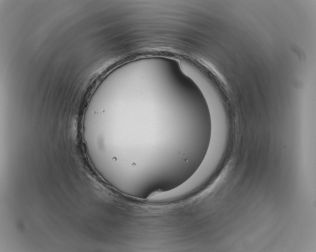 X0000113270777200910081359