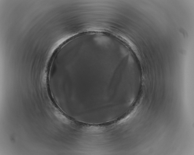 X0000113270779200910081359