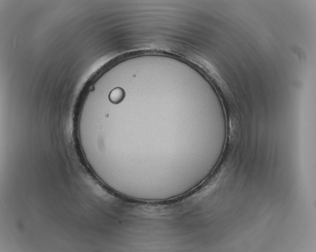 X0000113270780200910081359