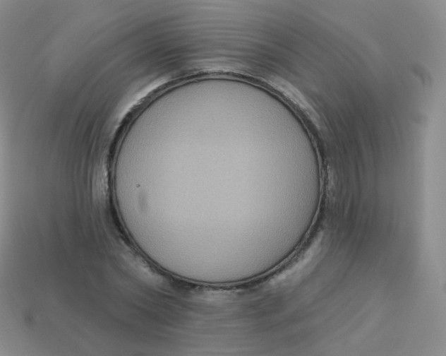 X0000113270782200910081359