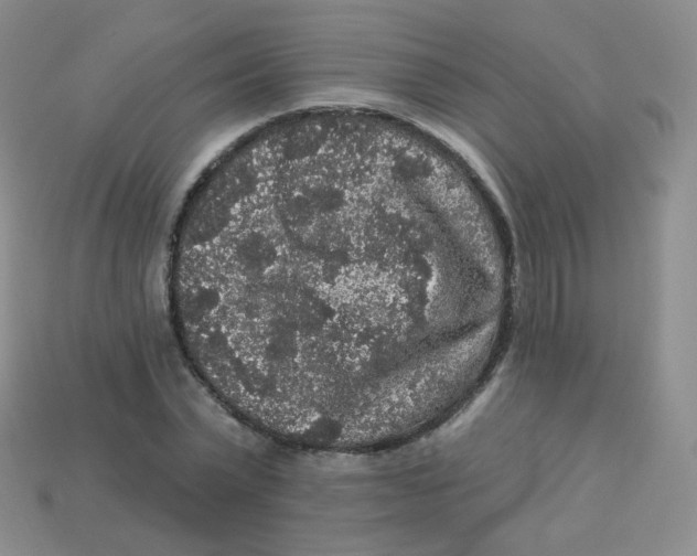 X0000113270783200910081359