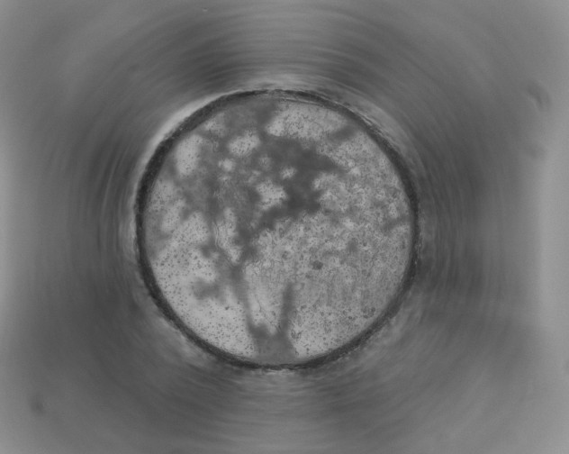 X0000113270784200910081359