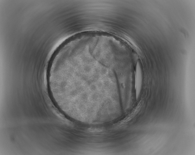 X0000113270788200910081359