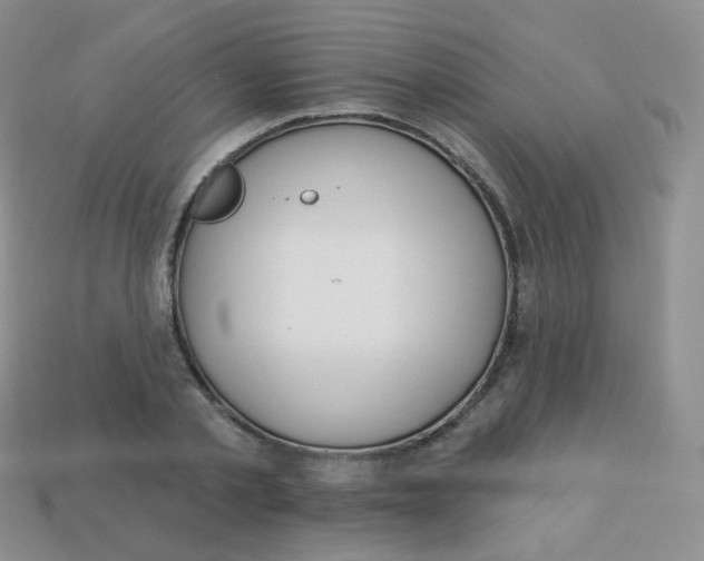 X0000113270789200910081359