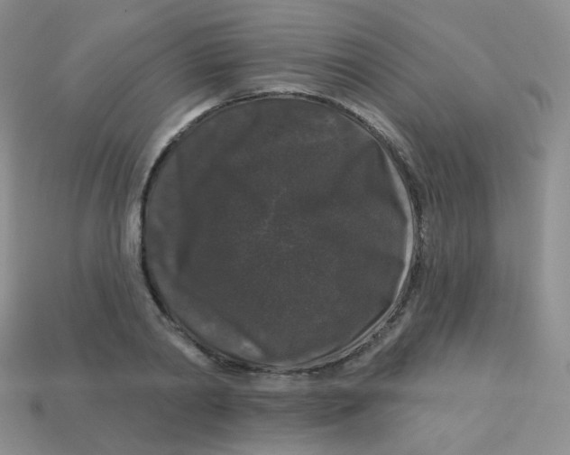 X0000113270790200910081359