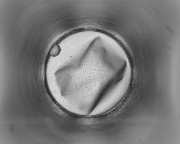 X0000113270791200910081359