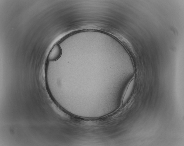 X0000113270792200910081359