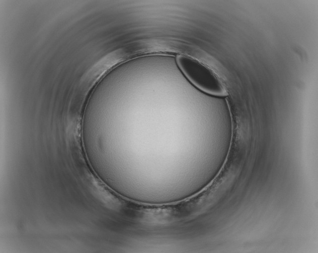 X0000113270793200910081359